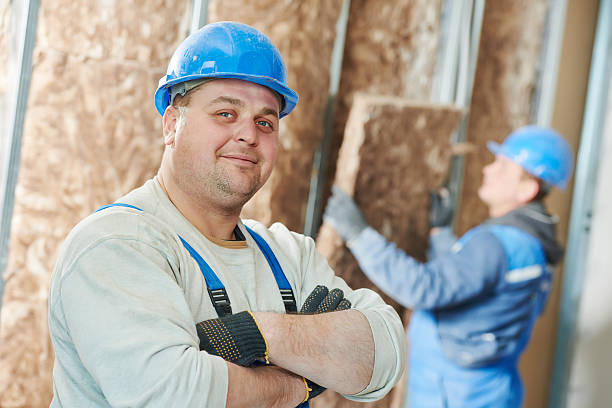 Best Eco-Friendly Insulation in Sophia, WV